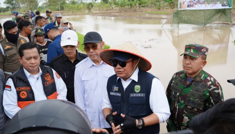 Gubernur Sumatera Selatan, Herman Deru, meninjau langsung lahan cetak sawah baru di Desa Sungai Dua, Banyuasin.
