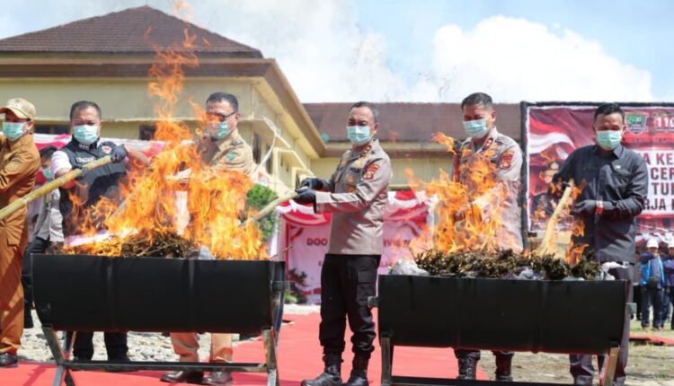 Kapolda Sumatra Selatan Irjen Pol Sandi Nugroho bersama jajaran pejabat daerah membakar barang bukti narkotika jenis ganja dalam acara konferensi pers di Mapolda Sumsel.