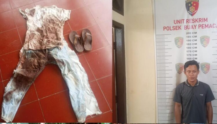 Polres OKU Selatan, Polda Sumsel berhasil mengamankan Pelaku pembunuhan berinisial E (24), beserta barang bukti berupa pakaian bernoda darah dan sandal milik korban S (41) yang ditemukan tewas pada Agustus 2024.