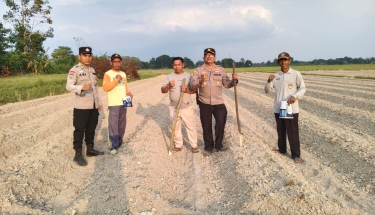 Kapolsek Buay Madang Timur Iptu Swisspo (kedua dari kanan) bersama personel Polsek, perangkat desa, dan petani setempat berfoto di lahan pertanian Desa Tambak Boyo, Kecamatan Buay Madang Timur, OKU Timur.