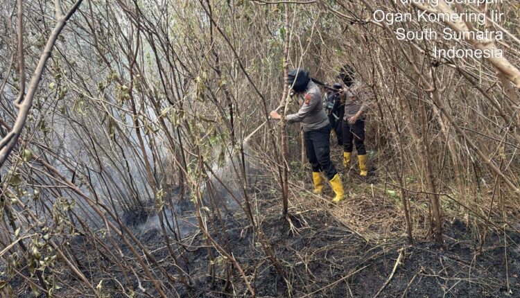 Petugas kepolisian menyisir semak belukar yang hangus terbakar di kawasan Tulung Selapan, Kabupaten Ogan Komering Ilir (OKI), Sumatera Selatan.